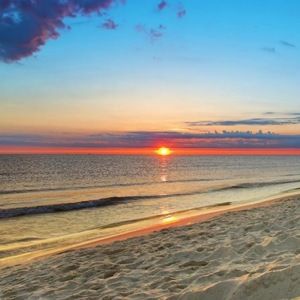 Meet your Posher, Genesis